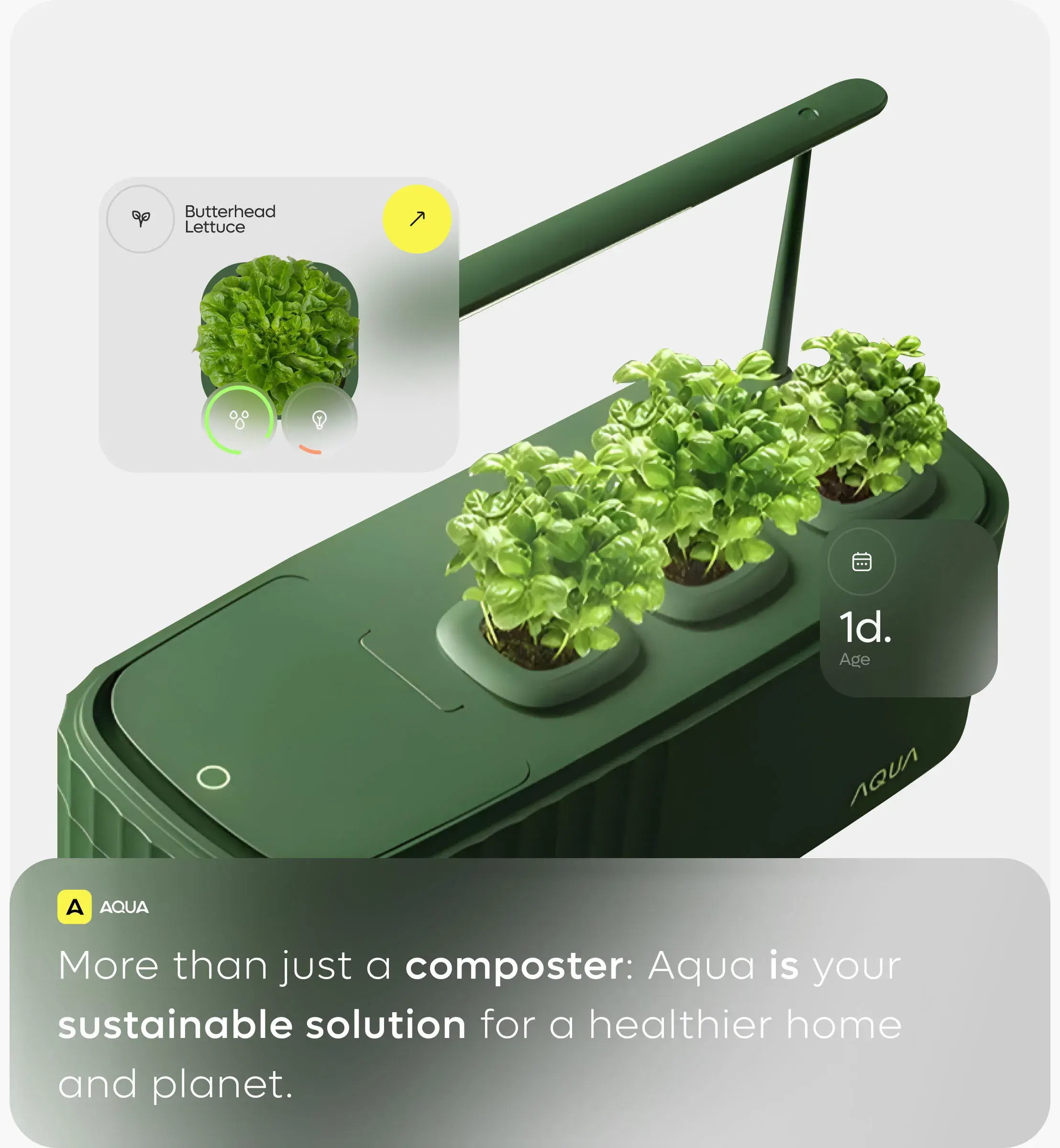 AQUA smart garden IoT system detail, showing butterhead lettuce and plant data like age. AQUA smart garden IoT system detail, showing butterhead lettuce and plant data like age.