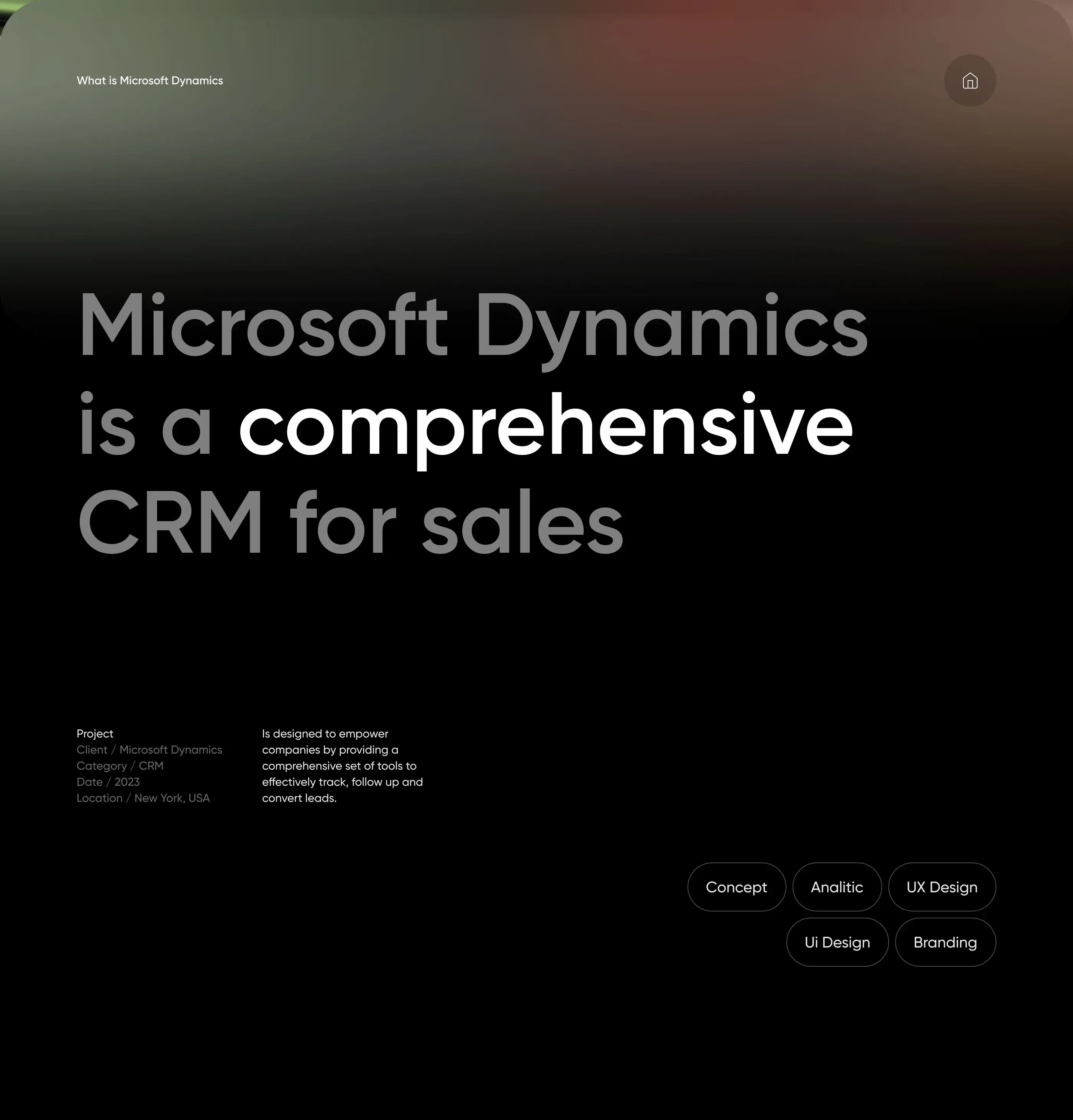 Microsoft Dynamics CRM UI showcasing user-friendly interface for lead tracking