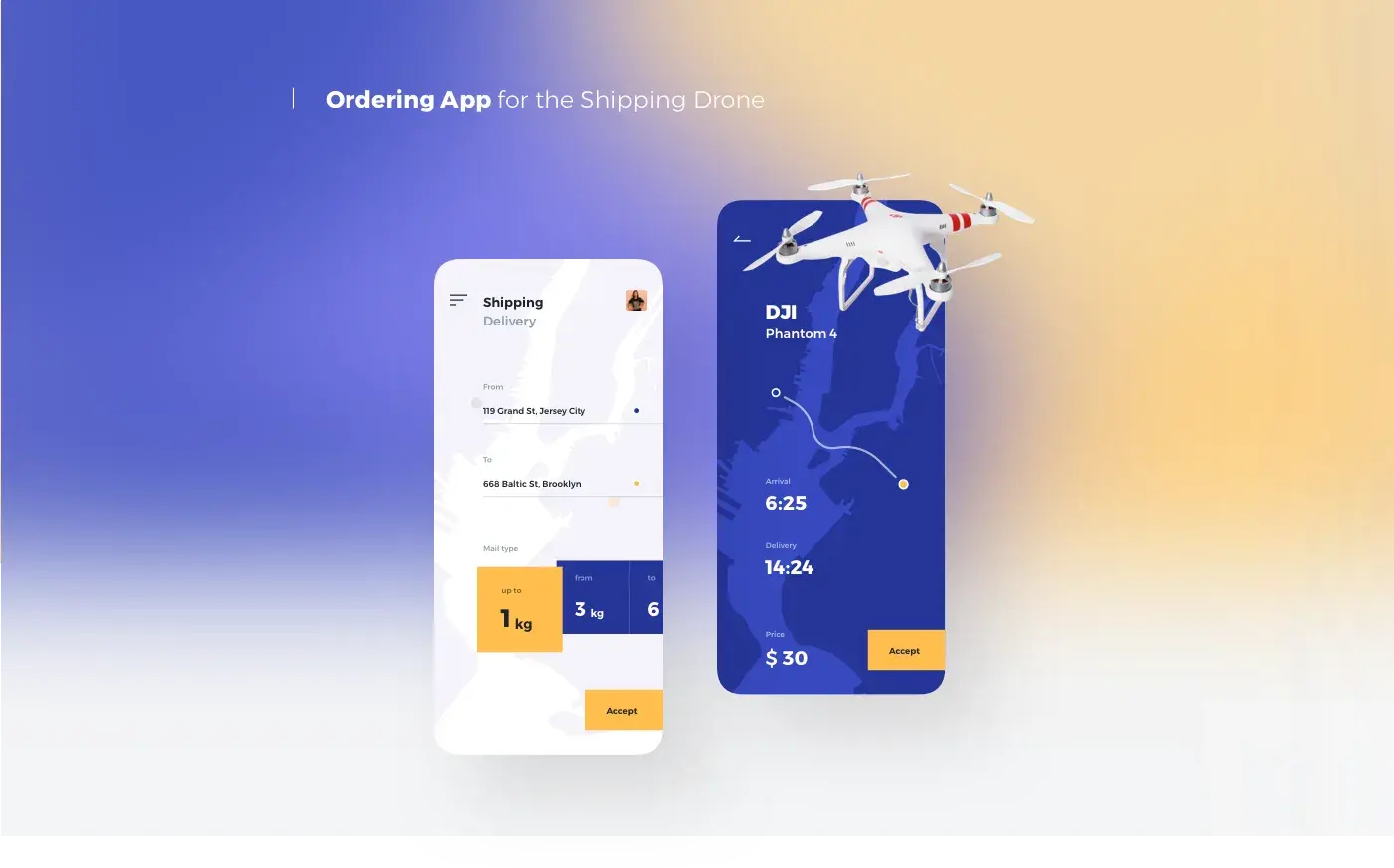 Screenshot of a mobile or web app interface design for an aviation or air travel startup. Screenshot of a mobile or web app interface design for an aviation or air travel startup.