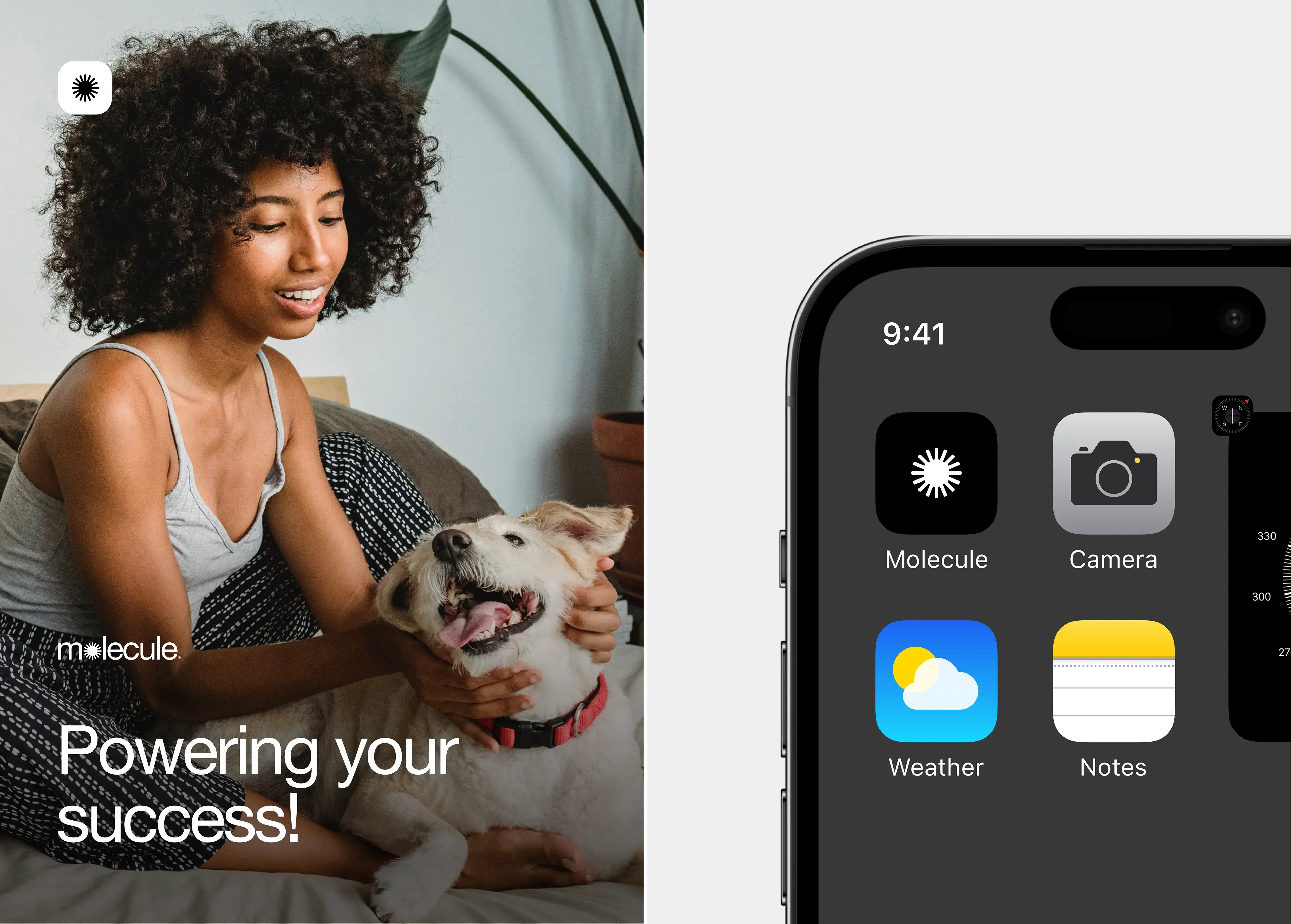 Screenshot of a mobile phone displaying the Molecule smart home app interface with the tagline 'Powering your success!'. Screenshot of a mobile phone displaying the Molecule smart home app interface with the tagline 'Powering your success!'.