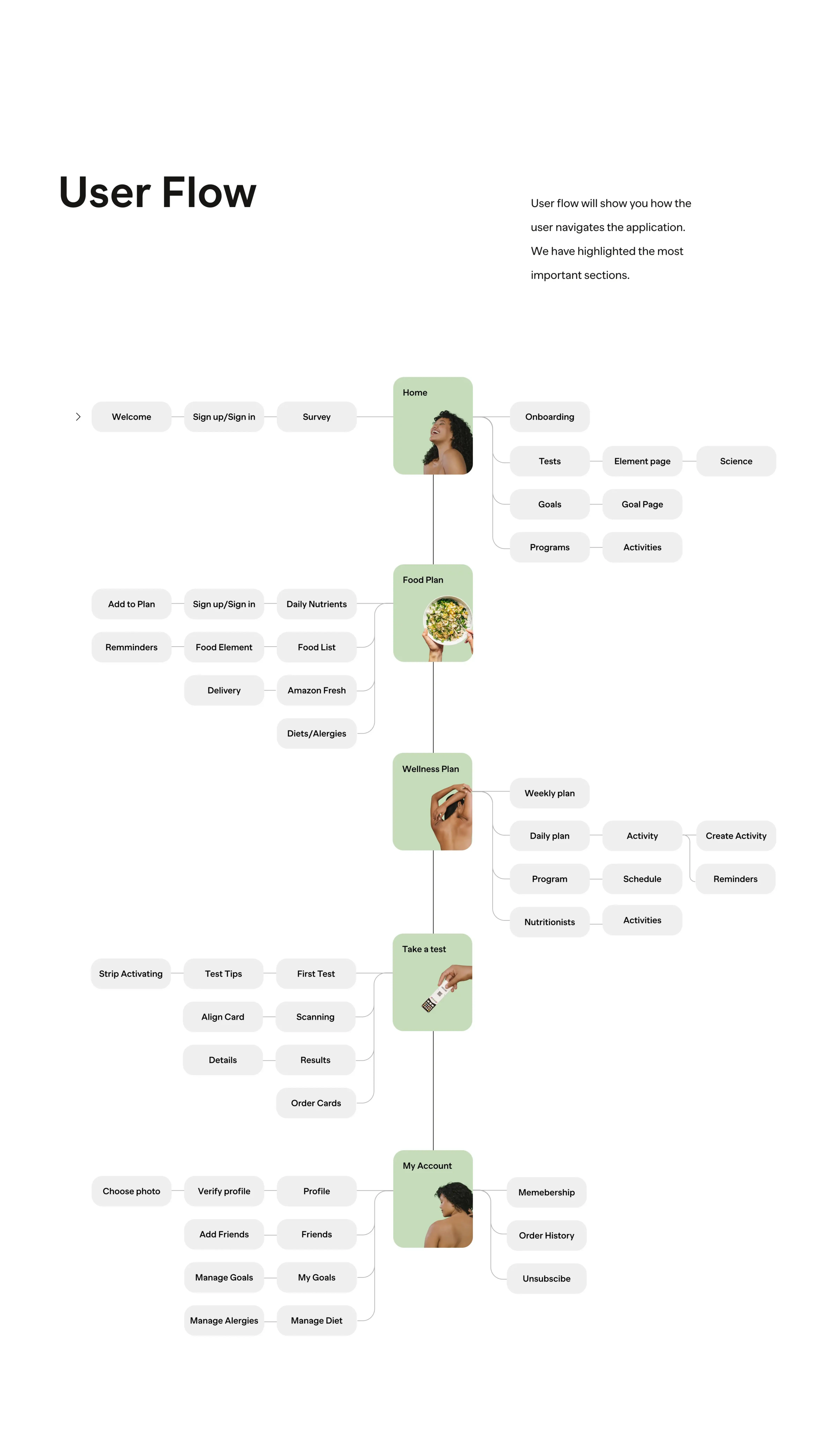 Screenshot of a colorful diagram showing key user flows for the Vessel wellness app. Screenshot of a colorful diagram showing key user flows for the Vessel wellness app.